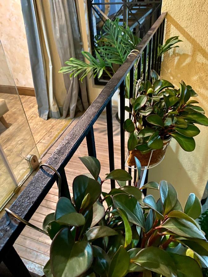 مدينة هوشي منه The Palmian City Center Serviced Apartment المظهر الخارجي الصورة